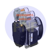 Bơm chân không khô DS 2.2F (120mbar, 120 L/min)