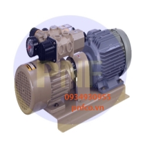 Bơm chân không khô DS-6E.A (660mmHg, 575 L/min)